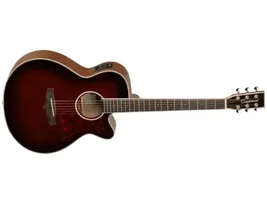 Tanglewood TW4 E WB