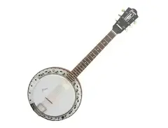 Framus 6-String Banjo main image