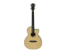 K.Yairi SJY13H Steve Hicks Custom Electro-Acoustic