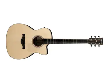 Ibanez ACFS580CE