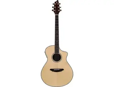 Breedlove ac25/sr plus
