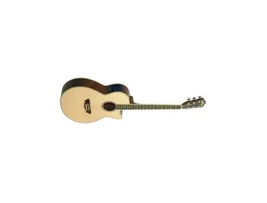 Washburn EA-16