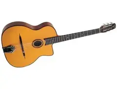 Gitane DG-310 Lulo Reinhardt Signature main image