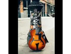 Hofner (Höfner) Zane Carney Signature Model Jazzica