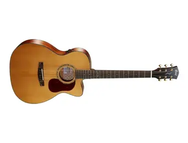 Cort Gold OC6