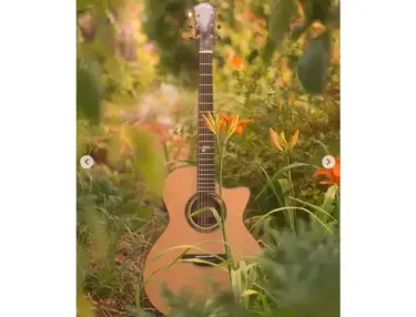 Magic Guitars