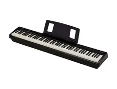 Roland FP-10