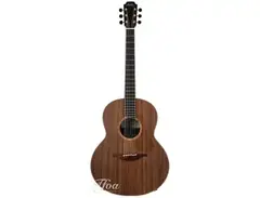Lowden F50 African Blackwood main image