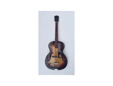 Hofner (Höfner) Congress