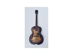 Hofner (Höfner) Congress main image