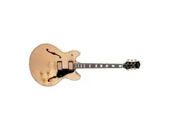 Luna Guitars Athena 501 Electric Guitar main image
