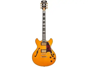 D'Angelico Excel Mini DC