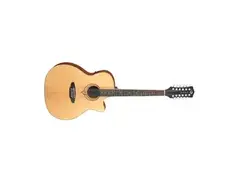 Luna Guitars Heartsong 12 String Acoustic Guitar
