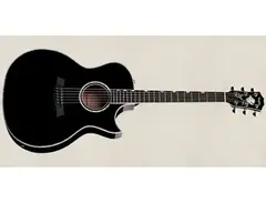 Taylor Doyle Dykes Deluxe DDX Signature Model