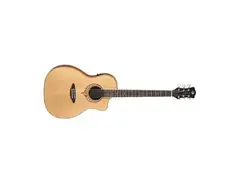 Luna Guitars Heartsong Parlor Acoustic Guitar main image