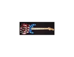 Steve Millers Ameri-O-Caster / Strat-O-Caster main image