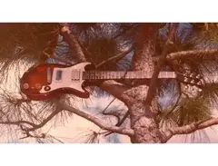 Gibson Les Paul JR late 50's mutilated main image