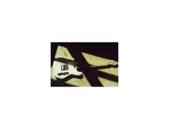 Telecaster 40th anniversary main image