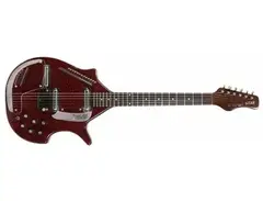 Coral Sitar with Vinnie Bell pickguard