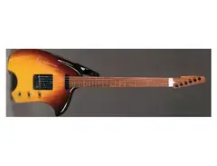 Steve Klein/Steve Miller s-Tele