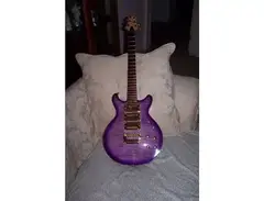 ToadBuilt Ray Monette Custom  ES-355 Clone