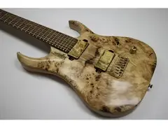 Vigilant Guitars MKiii 7 String Custom main image