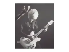 Harry's Engineering Dragonfly ES Custom 666