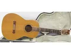 Washburn R306 main image