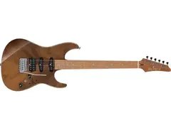 Ibanez TQM1