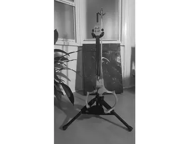 Starfish Custom Electric Violin