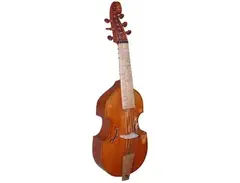 Viola da gamba main image