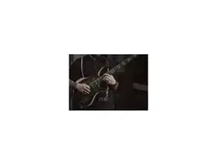 Overload Guitars Taurus 4 Custom Shop