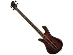 Spector Legend 4 Fretless main image