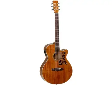 Tanglewood TW47 ASE