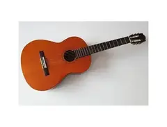 Yamaha CG-100 main image