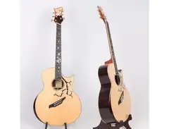 YuGuitar Signature EVDM 1 main image