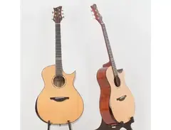 YuGuitar Signature EVDM 2 (old check the description) main image