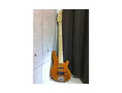 Lakland Shoreline Deluxe SL55-94 main image