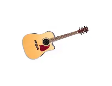 Ibanez AW10 ECE