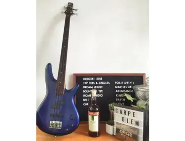 Ibanez Soundgear Fretless