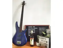 Ibanez Soundgear Fretless main image