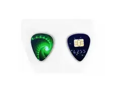 Visa Credit Card Homemade Picks (0.88 mm)