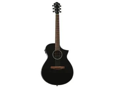 Ibanez AEWC10