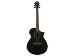 Ibanez AEWC10 main image
