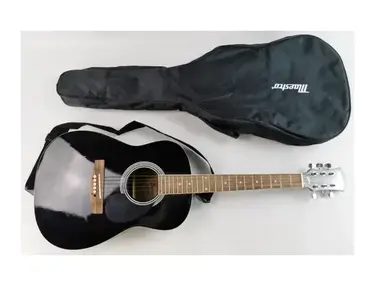Maestro by Gibson MA38BKCH6 Parlor Guitar