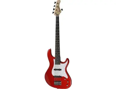 Fernandes Retrospect 5-String Bass