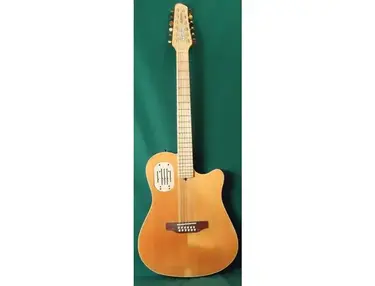 Godin 12 String LR Baggs