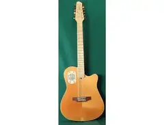 Godin 12 String LR Baggs main image