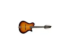 Godin A8 8-String Electro Acoustic Mandolin