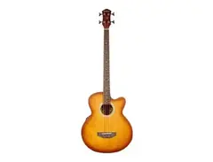 Waldman Acoustic Bass GAB 800 BT